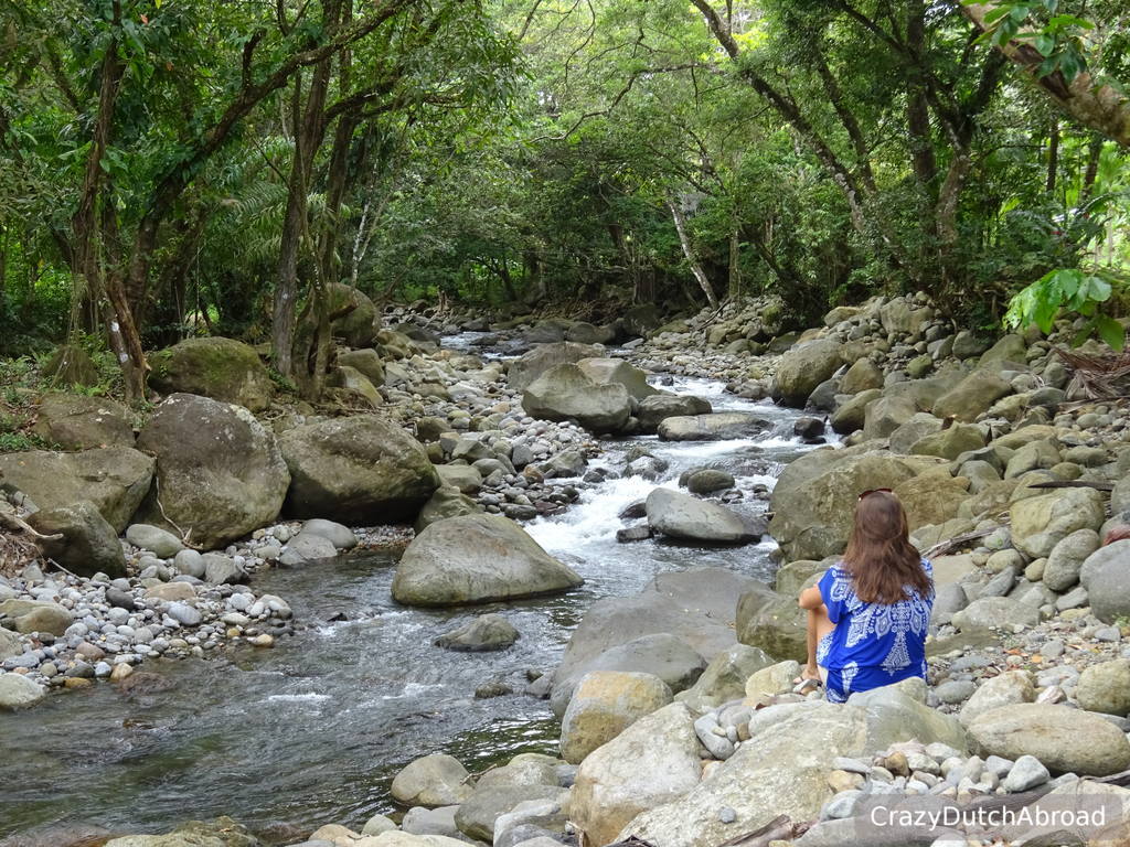 Discover Dominica, Nature Island of the Caribbean! - Crazy Dutch Abroad